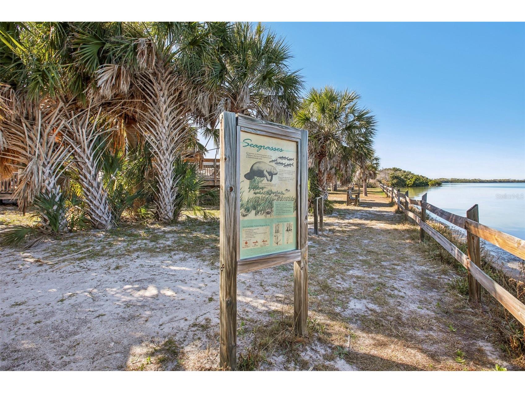 455 Alt 19 S #42 Palm Harbor FL 34683 TB8468572 image75