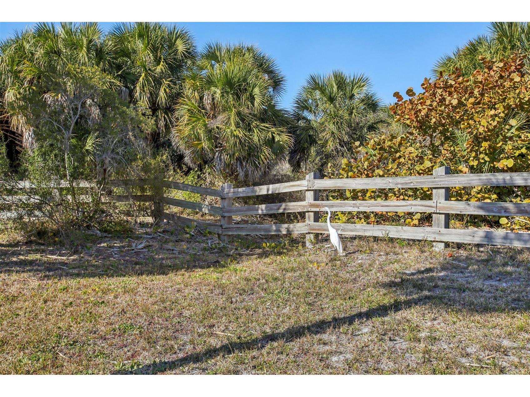 455 Alt 19 S #42 Palm Harbor FL 34683 TB8468572 image77