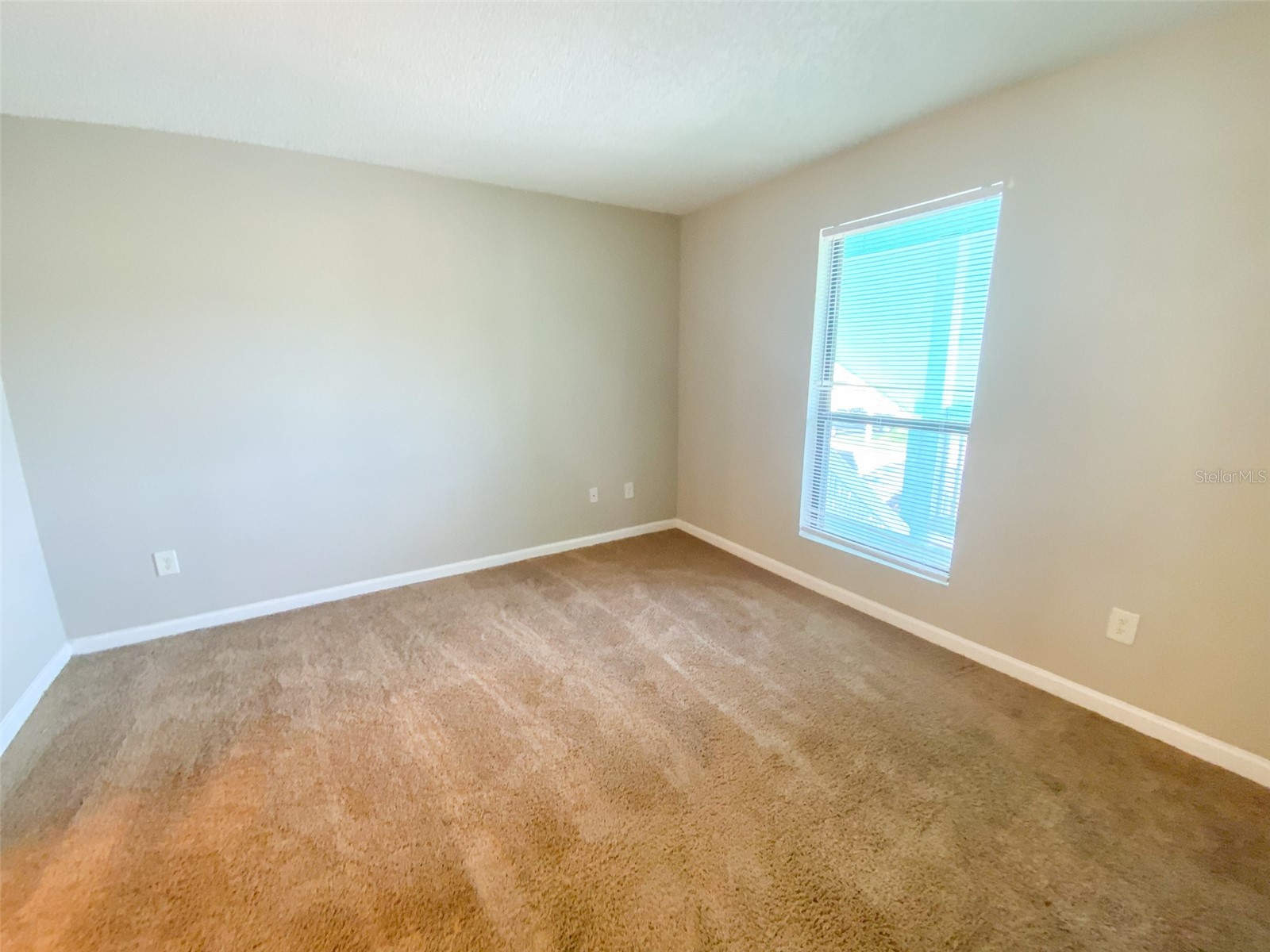 455 Alt 19 S #54 Palm Harbor FL 34683 TB8515224 image17