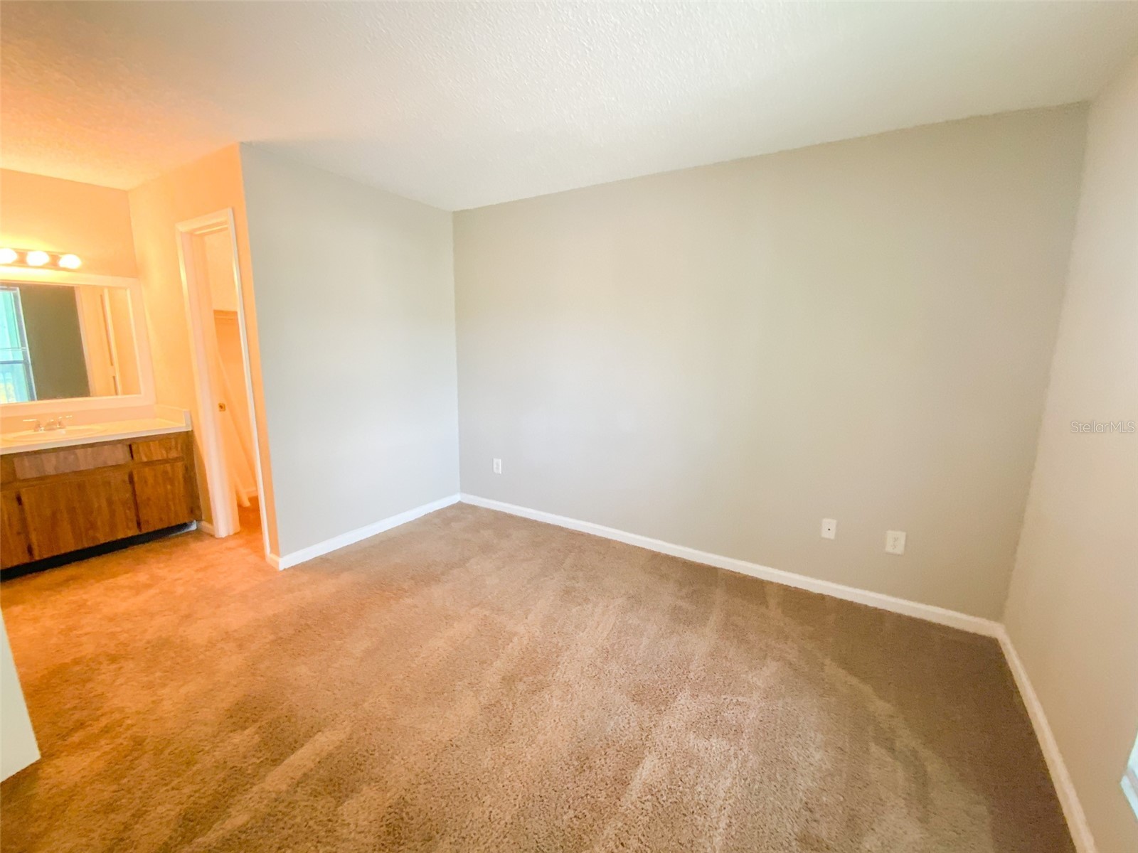 455 Alt 19 S #54 Palm Harbor FL 34683 TB8515224 image18