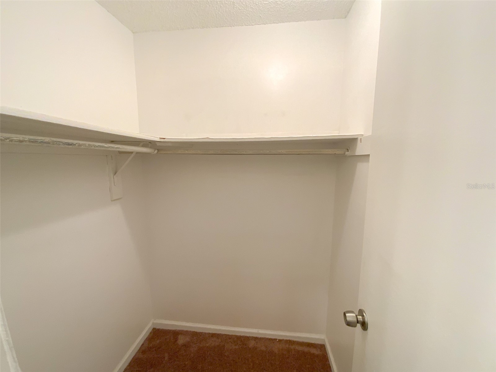 455 Alt 19 S #54 Palm Harbor FL 34683 TB8515224 image20