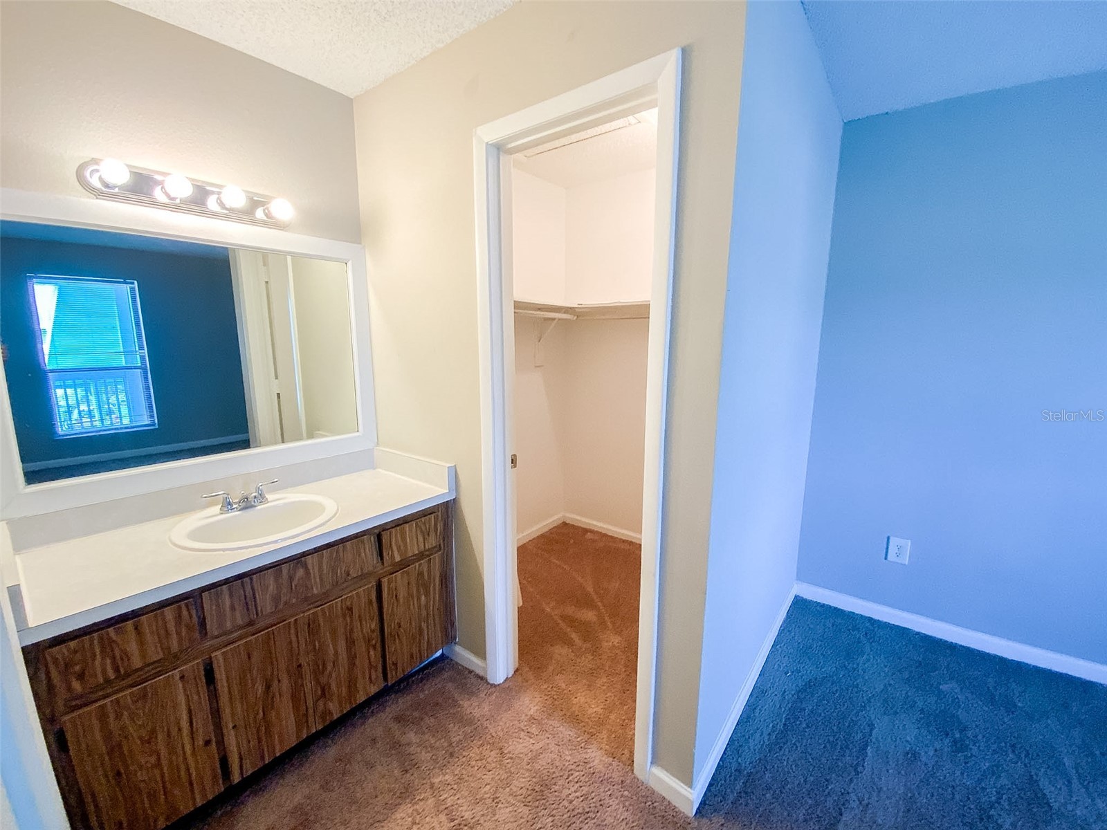 455 Alt 19 S #54 Palm Harbor FL 34683 TB8515224 image22