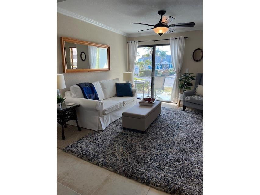 455 Alt 19 S #65 Palm Harbor FL 34683 TB8497911 image2