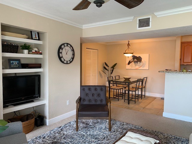 455 Alt 19 S #65 Palm Harbor FL 34683 TB8497911 image3