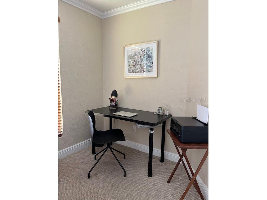 455 Alt 19 S #65 Palm Harbor FL 34683 TB8497911 image5