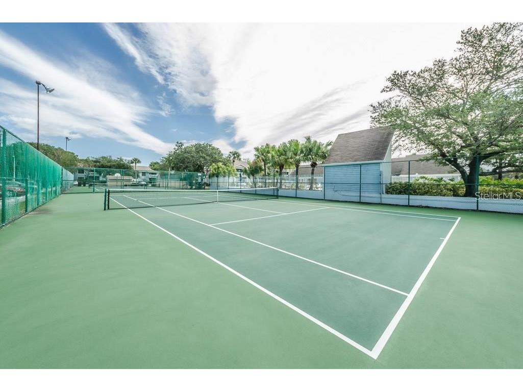 455 Alt 19 S #87 Palm Harbor FL 34683 TB8507450 image16