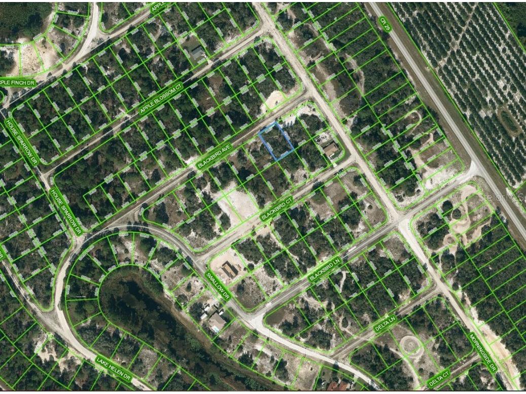 455 Blackbird Avenue Lake Placid FL 33852 OM624320 image1