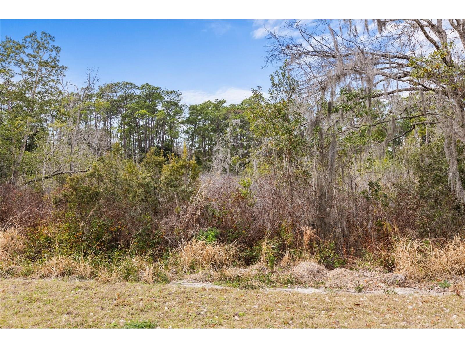 455 Briar Patch Lane Geneva FL 32732 O6384158 image76