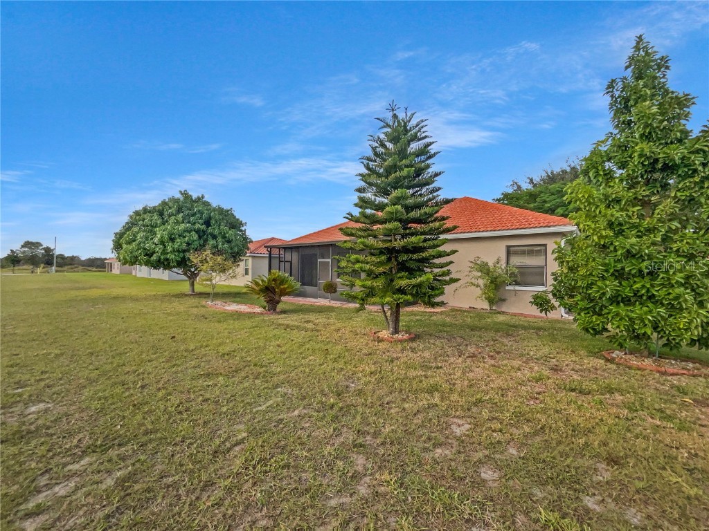 455 Cinnamon Drive Kissimmee FL 34759 O6368803 image25