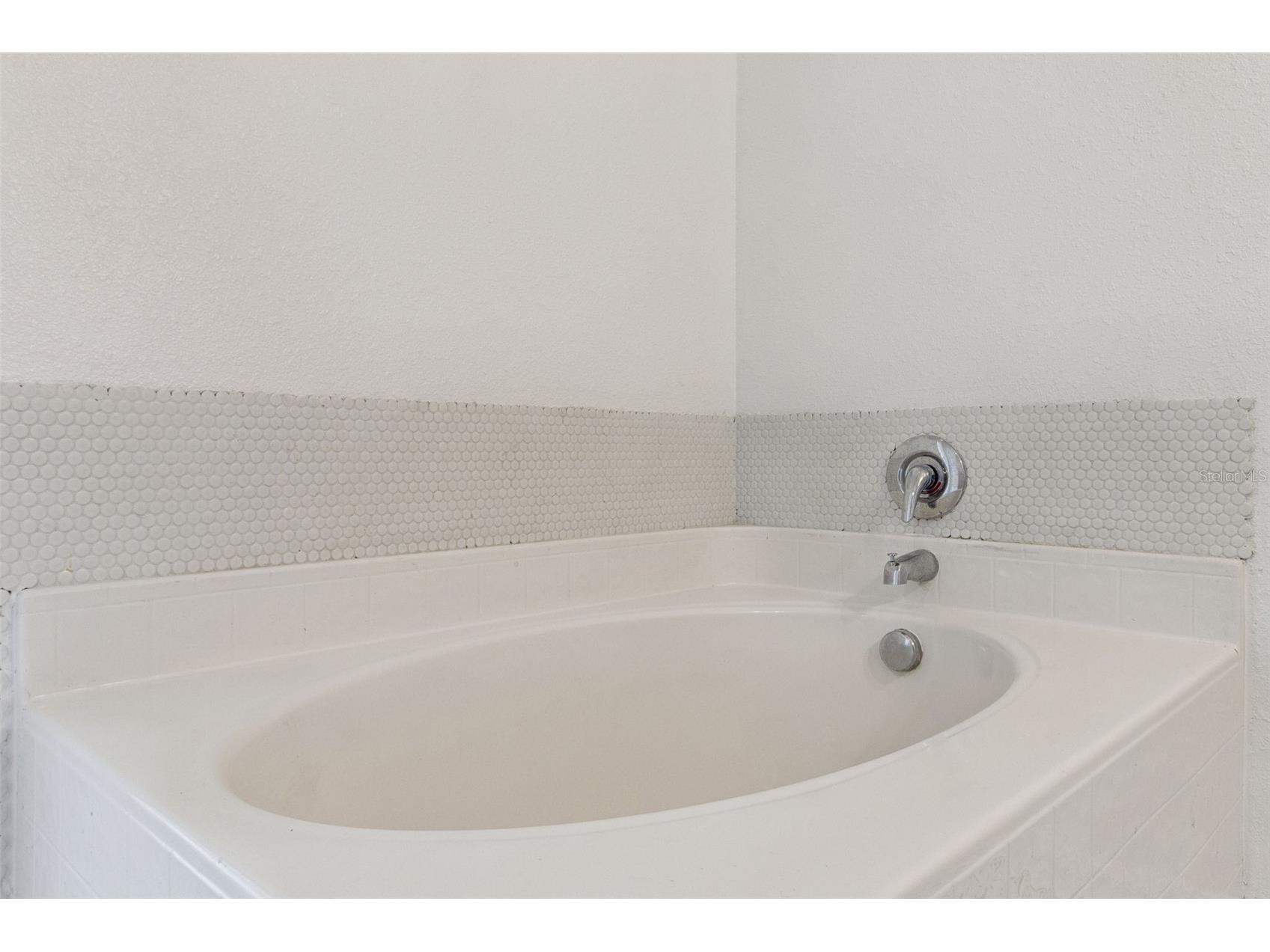 455 Danube Drive Kissimmee FL 34759 O6345232 image36