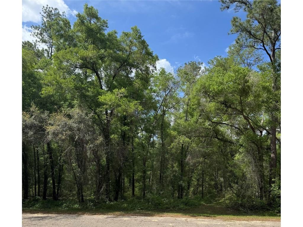 455 E Avondale Drive Dunnellon FL 34434 TB8370810 image2