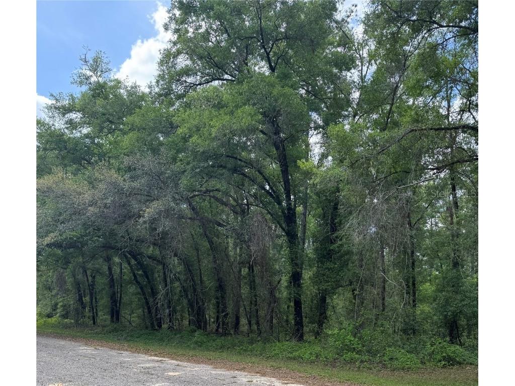 455 E Avondale Drive Dunnellon FL 34434 TB8370810 image3