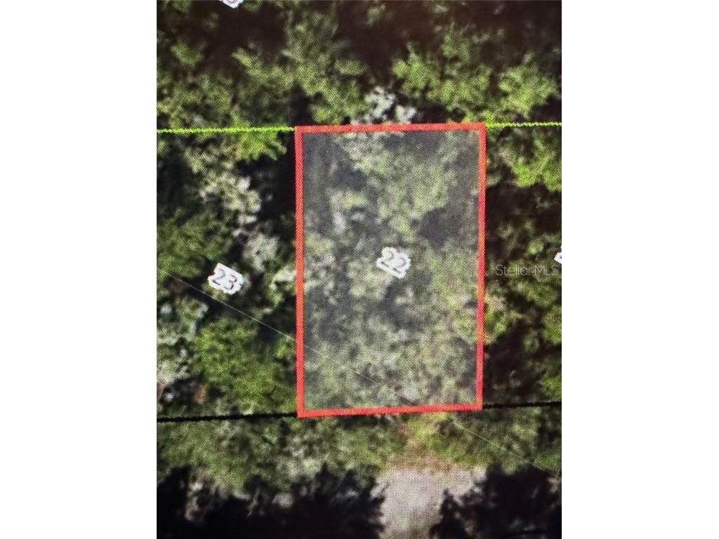 455 E Avondale Drive Dunnellon FL 34434 TB8370810 image6