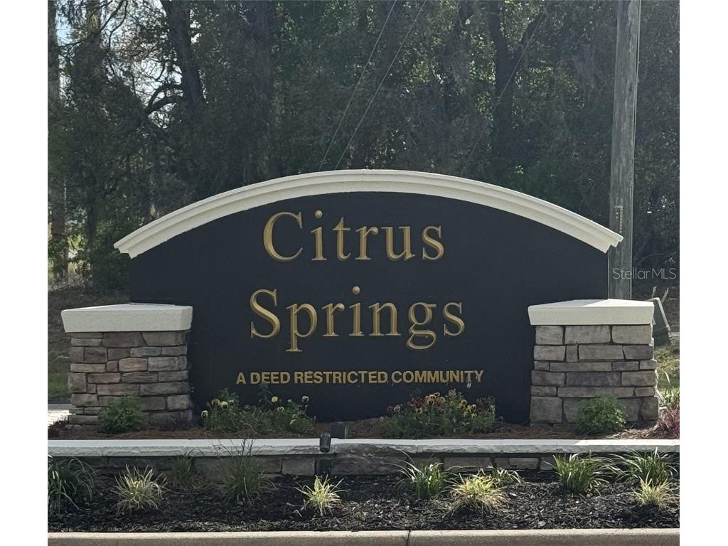 455 E Avondale Drive Dunnellon FL 34434 TB8370810 image7