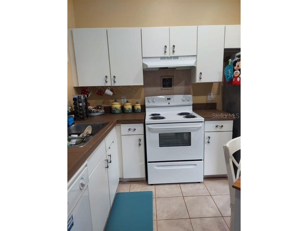 455 Eagle Drive Kissimmee FL 34759 L4953039 image20