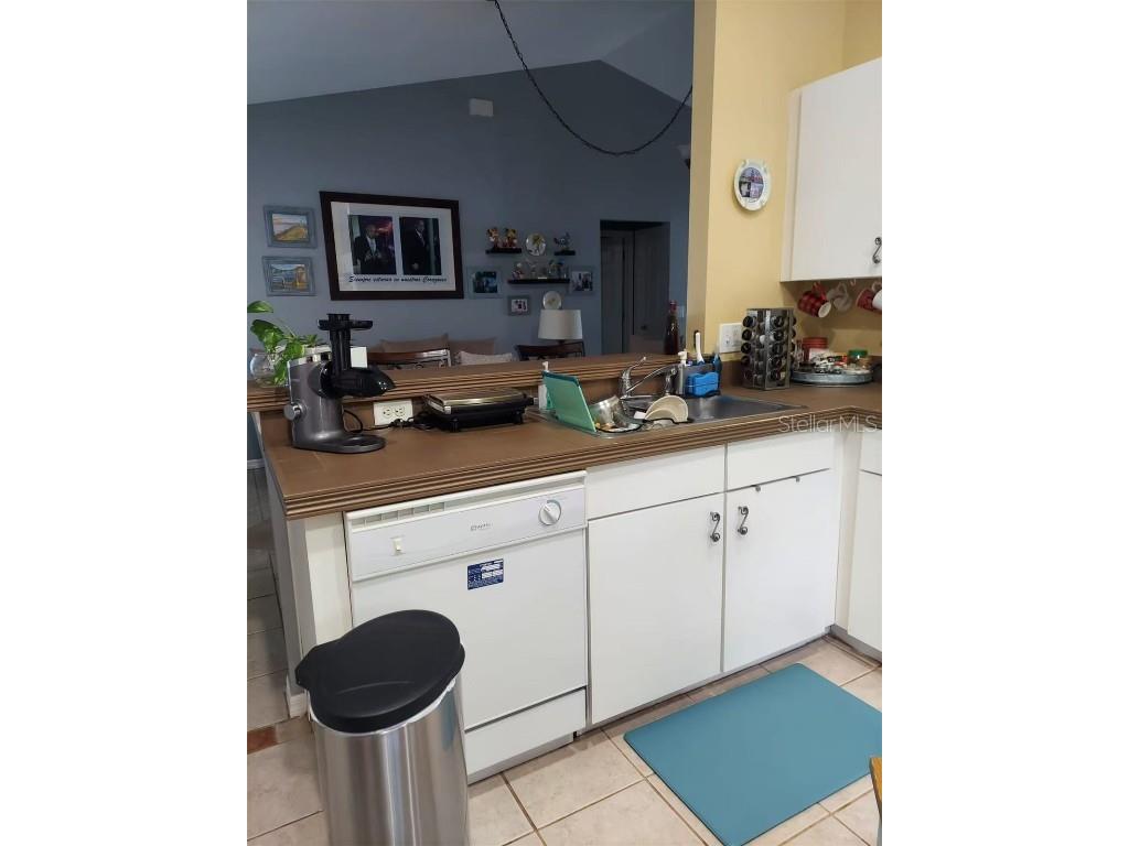 455 Eagle Drive Kissimmee FL 34759 L4953039 image21