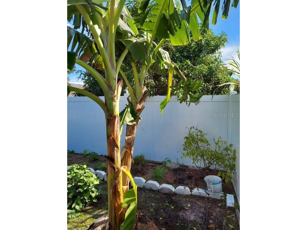 455 Eagle Drive Kissimmee FL 34759 L4953039 image29