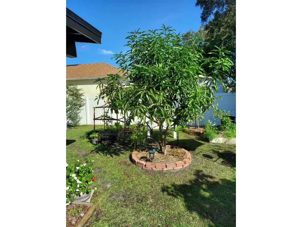 455 Eagle Drive Kissimmee FL 34759 L4953039 image31