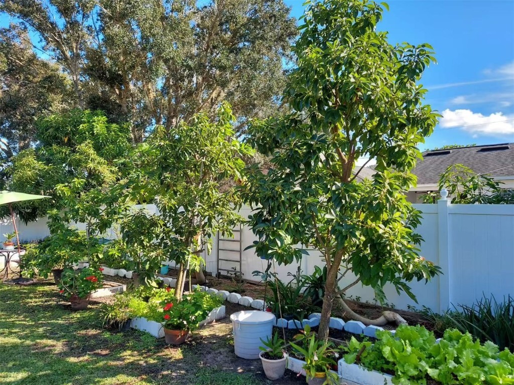 455 Eagle Drive Kissimmee FL 34759 L4953039 image32