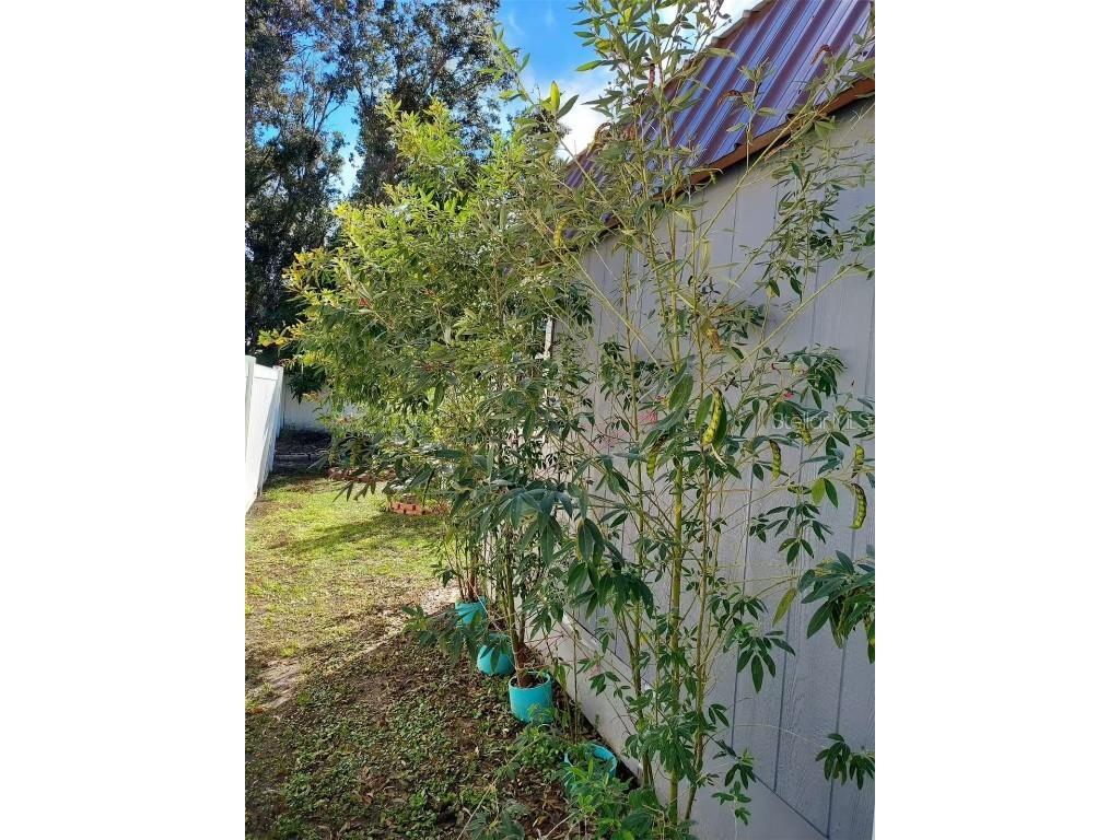 455 Eagle Drive Kissimmee FL 34759 L4953039 image33