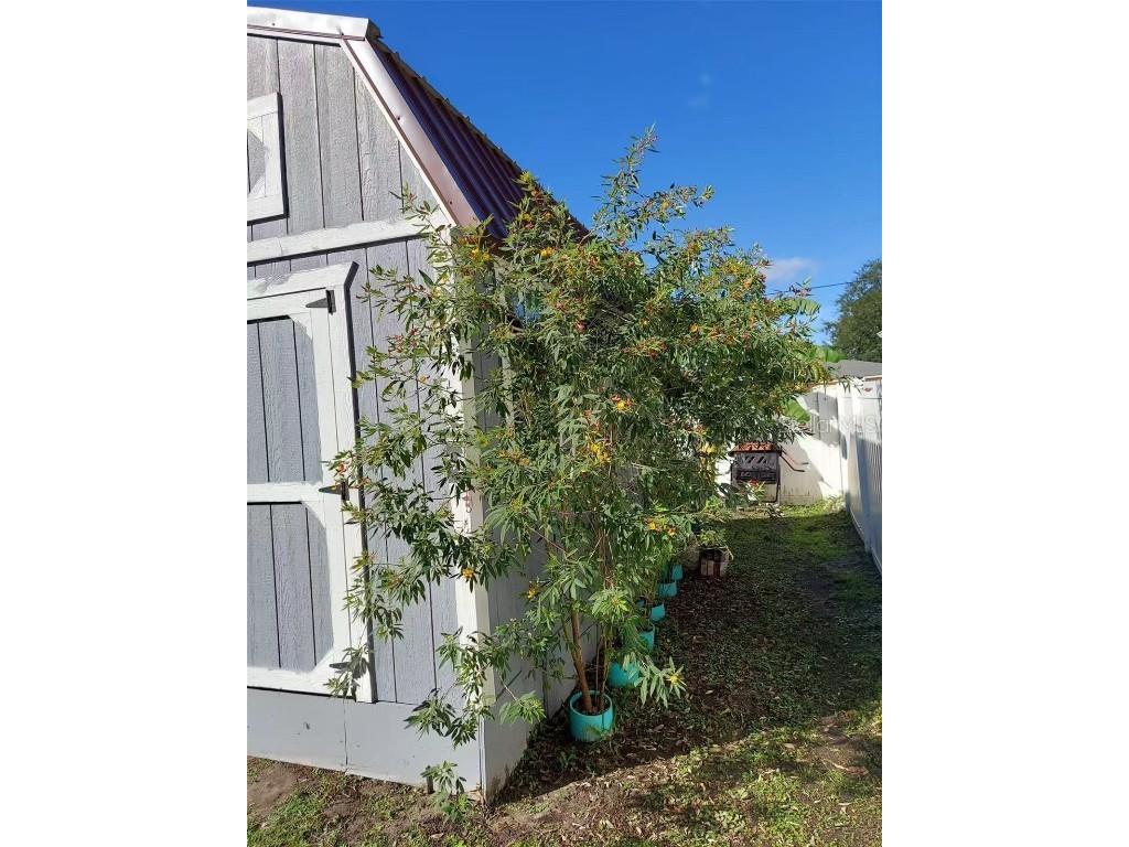 455 Eagle Drive Kissimmee FL 34759 L4953039 image34