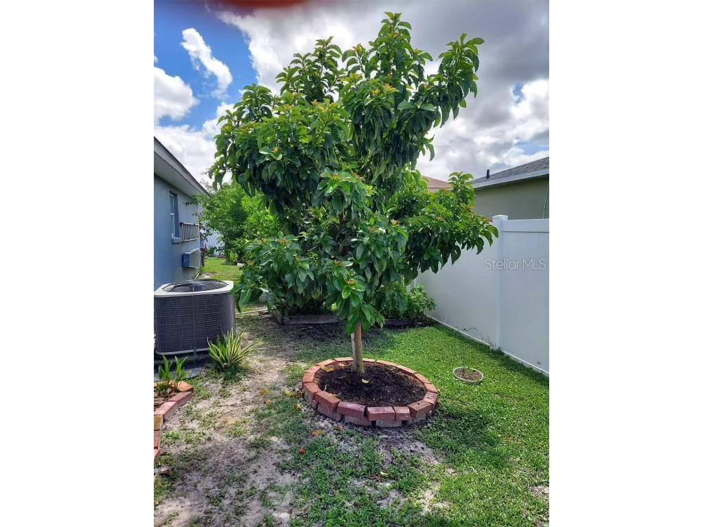 455 Eagle Drive Kissimmee FL 34759 L4953039 image36