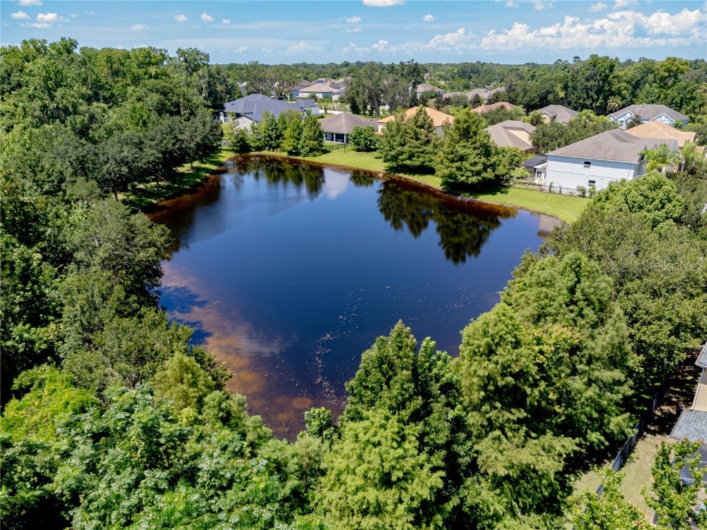 455 Heathercreek Court Oviedo FL 32765 OM705831 image47