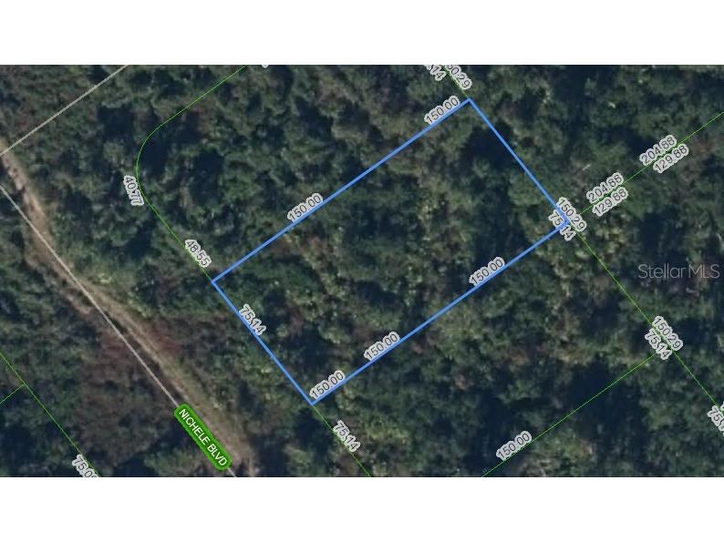 455 Nichele Boulevard Lake Placid FL 33852 P4938009 image1