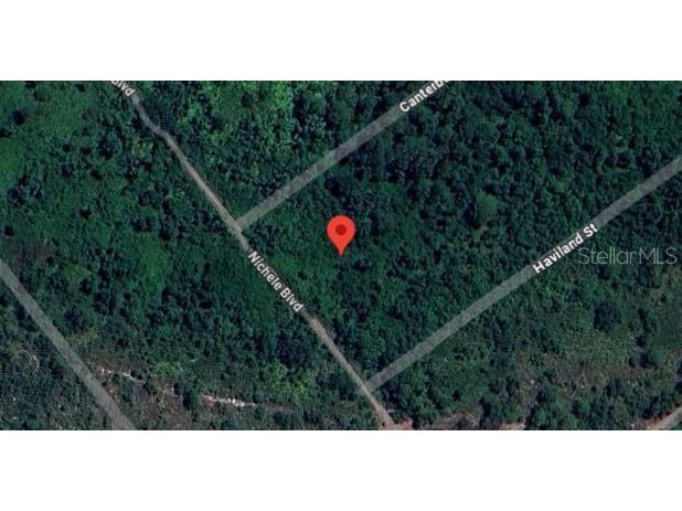 455 Nichele Boulevard Lake Placid FL 33852 P4938009 image8