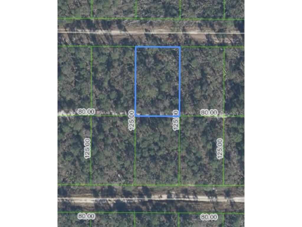 455 Nightingale Avenue Sebring FL 33870 O6330057 image2