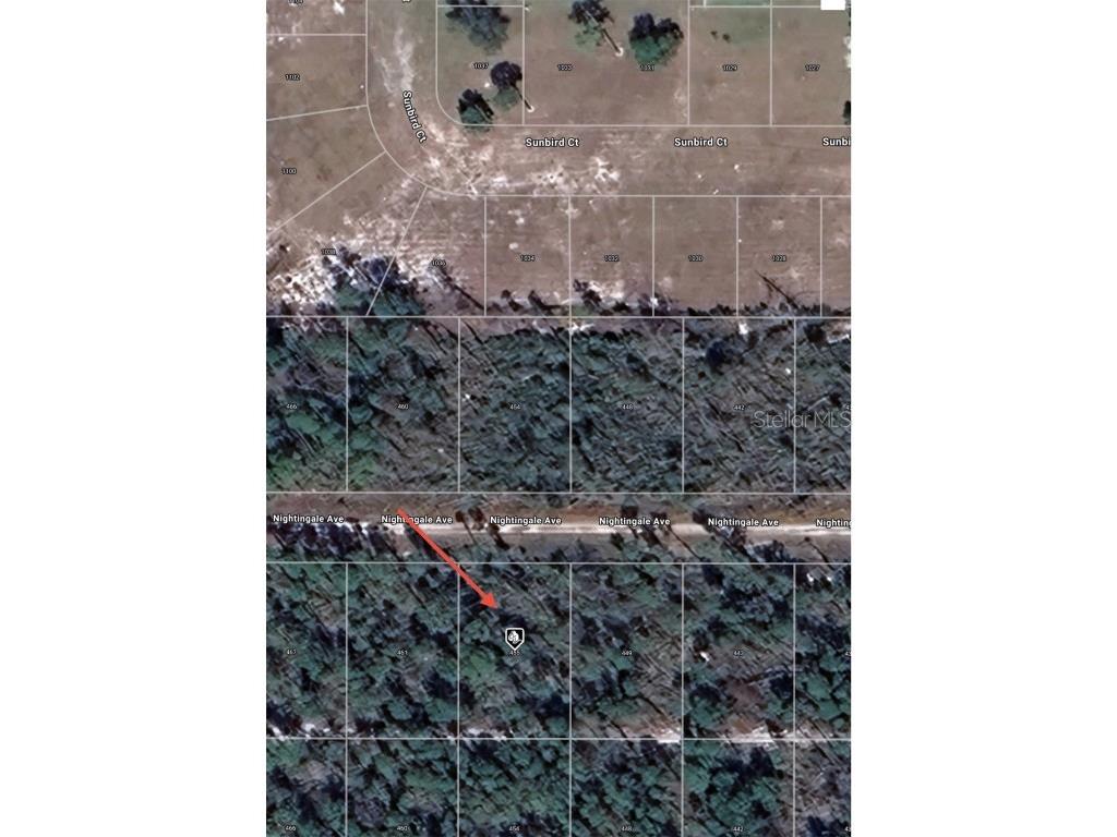 455 Nightingale Avenue Sebring FL 33870 O6330057 image8