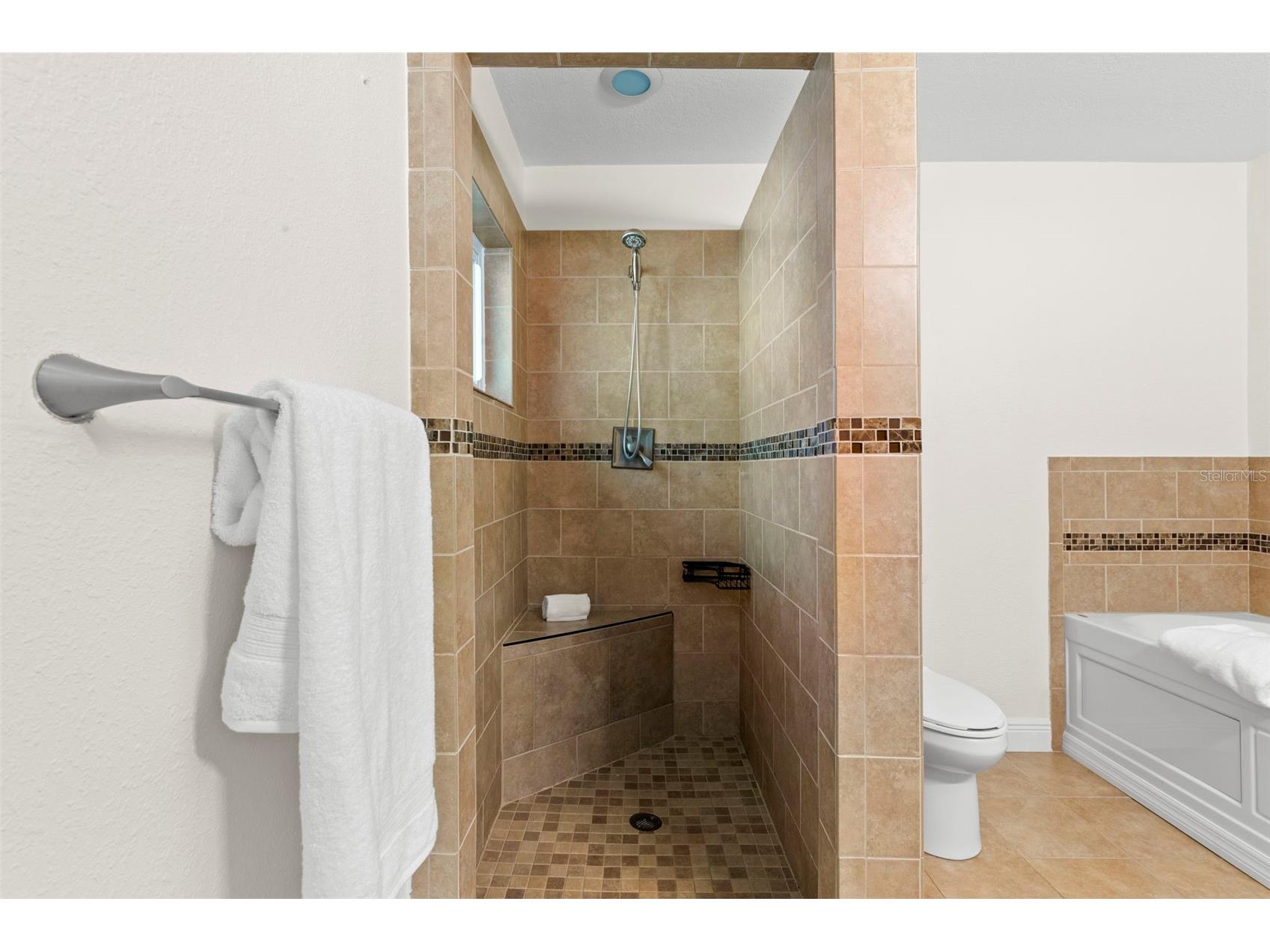 455 Pasaje Avenue Tarpon Springs FL 34689 TB8471265 image21