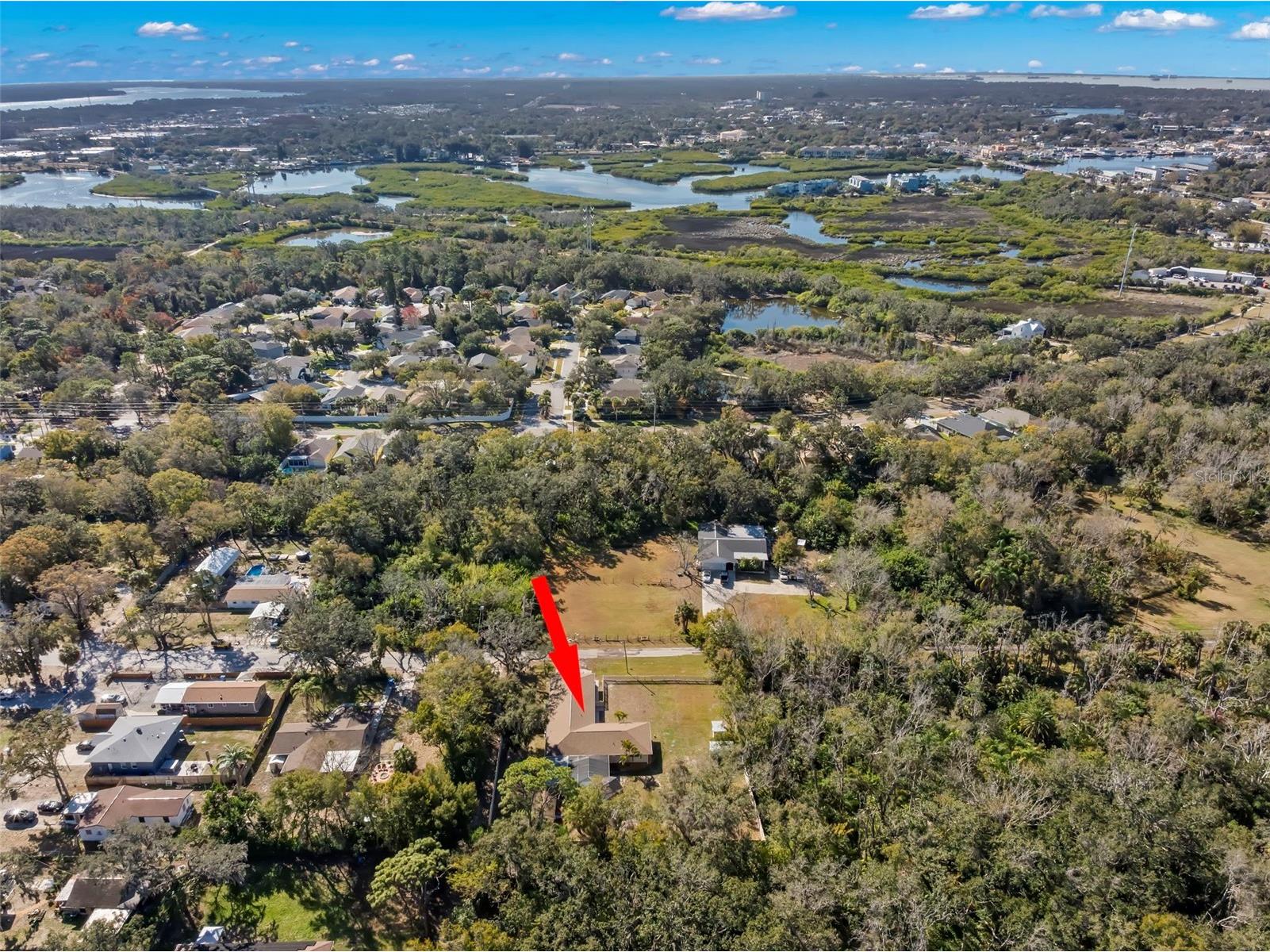 455 Pasaje Avenue Tarpon Springs FL 34689 TB8471265 image44