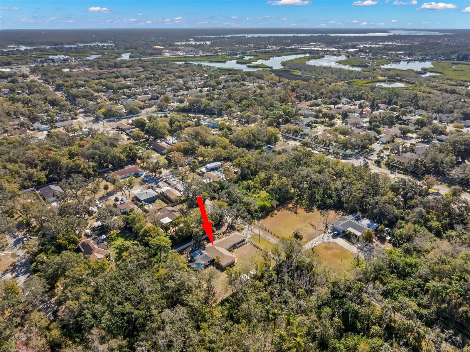 455 Pasaje Avenue Tarpon Springs FL 34689 TB8471265 image45