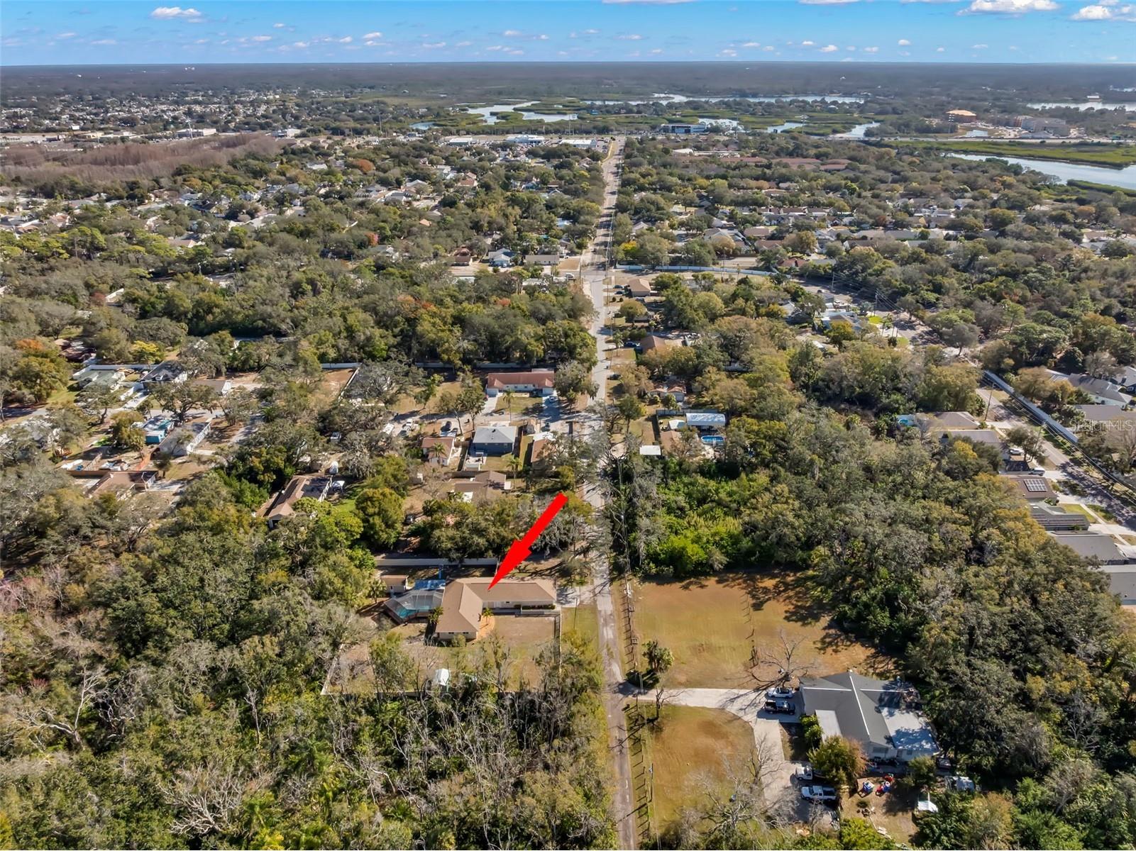 455 Pasaje Avenue Tarpon Springs FL 34689 TB8471265 image47