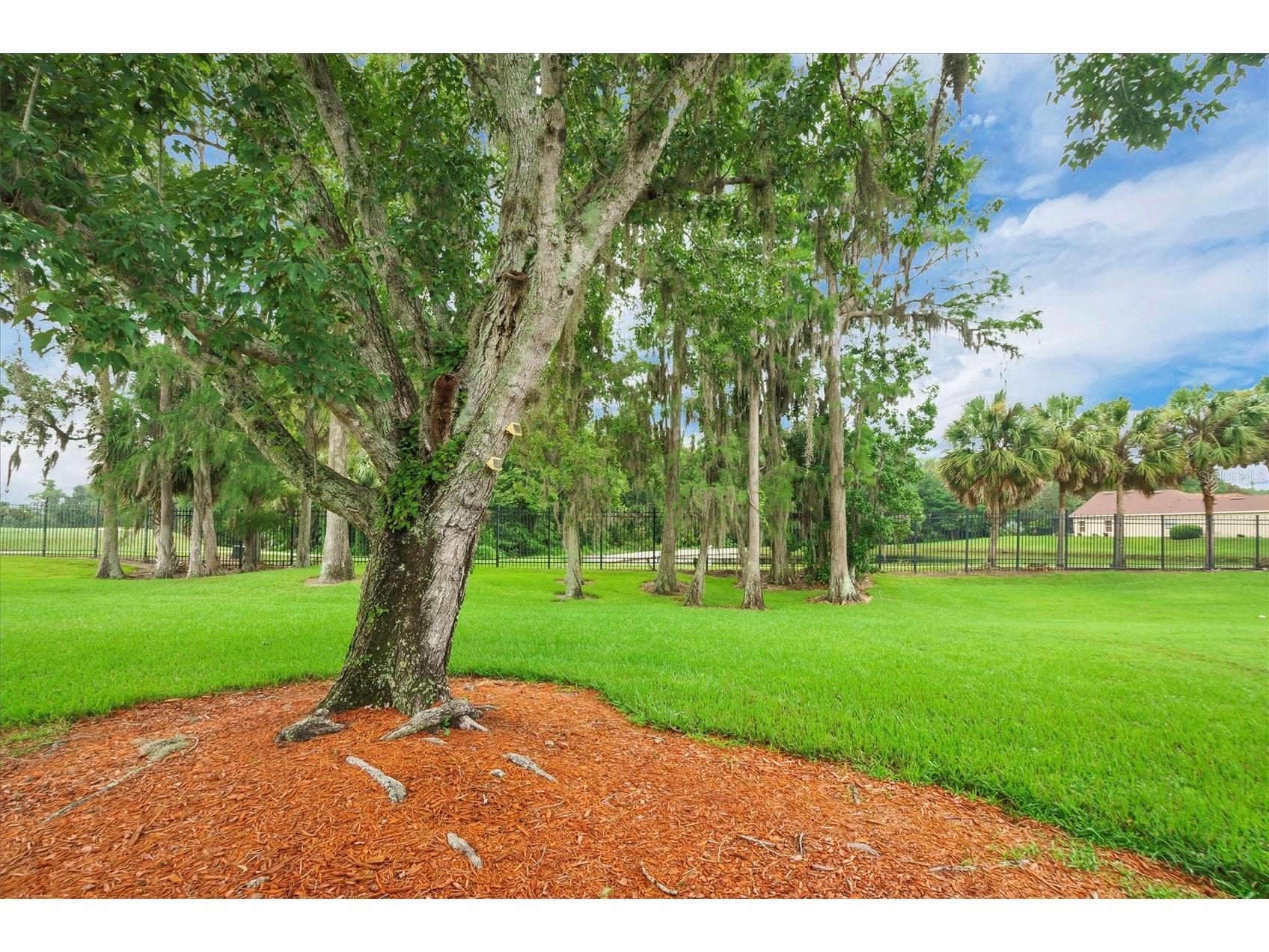 455 Prestwick Place #455 Kissimmee FL 34759 P4938710 image28