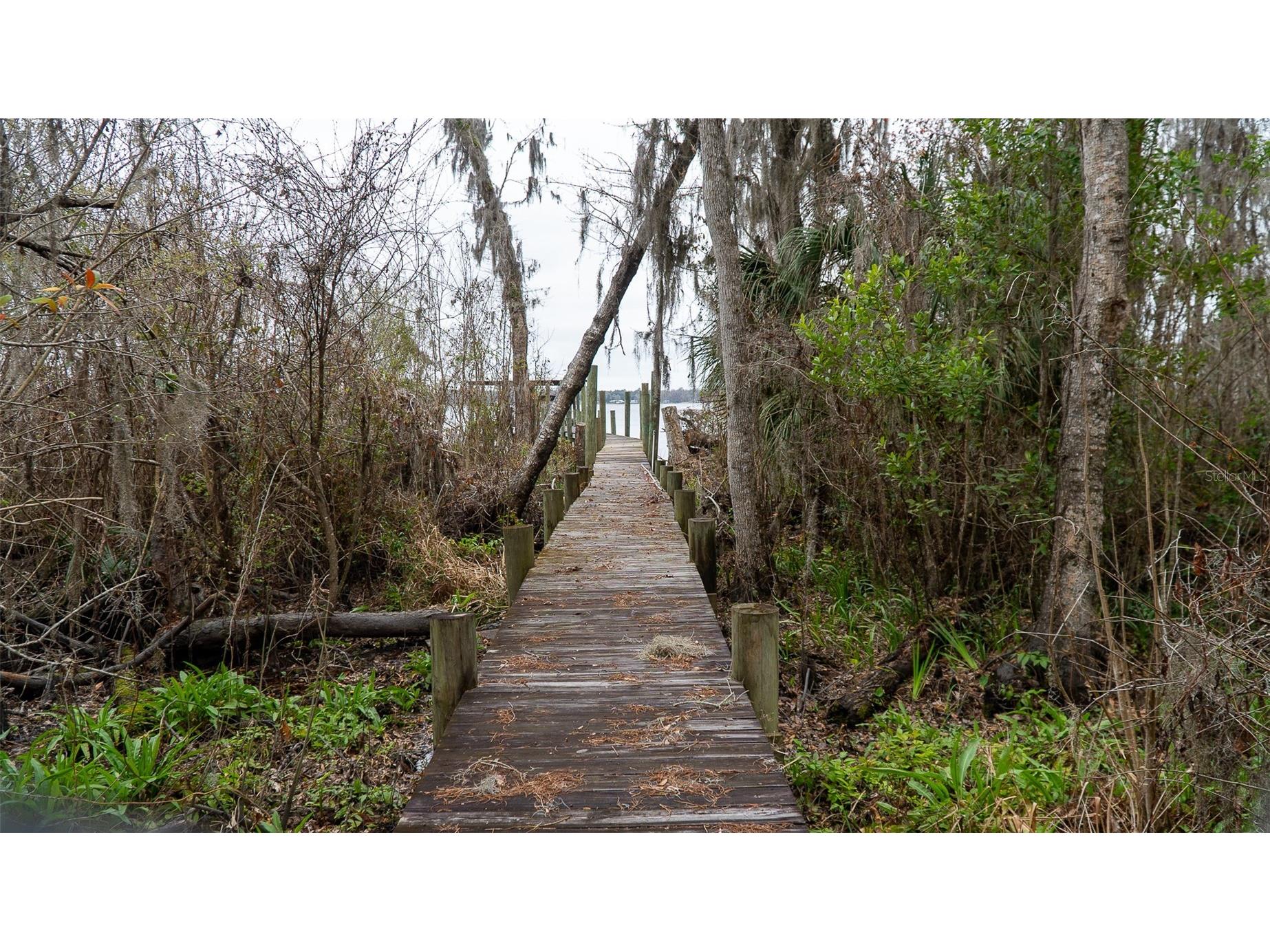 455 W River Road Palatka FL 32177 - ST. JOHNS RIVER FC316373 image18