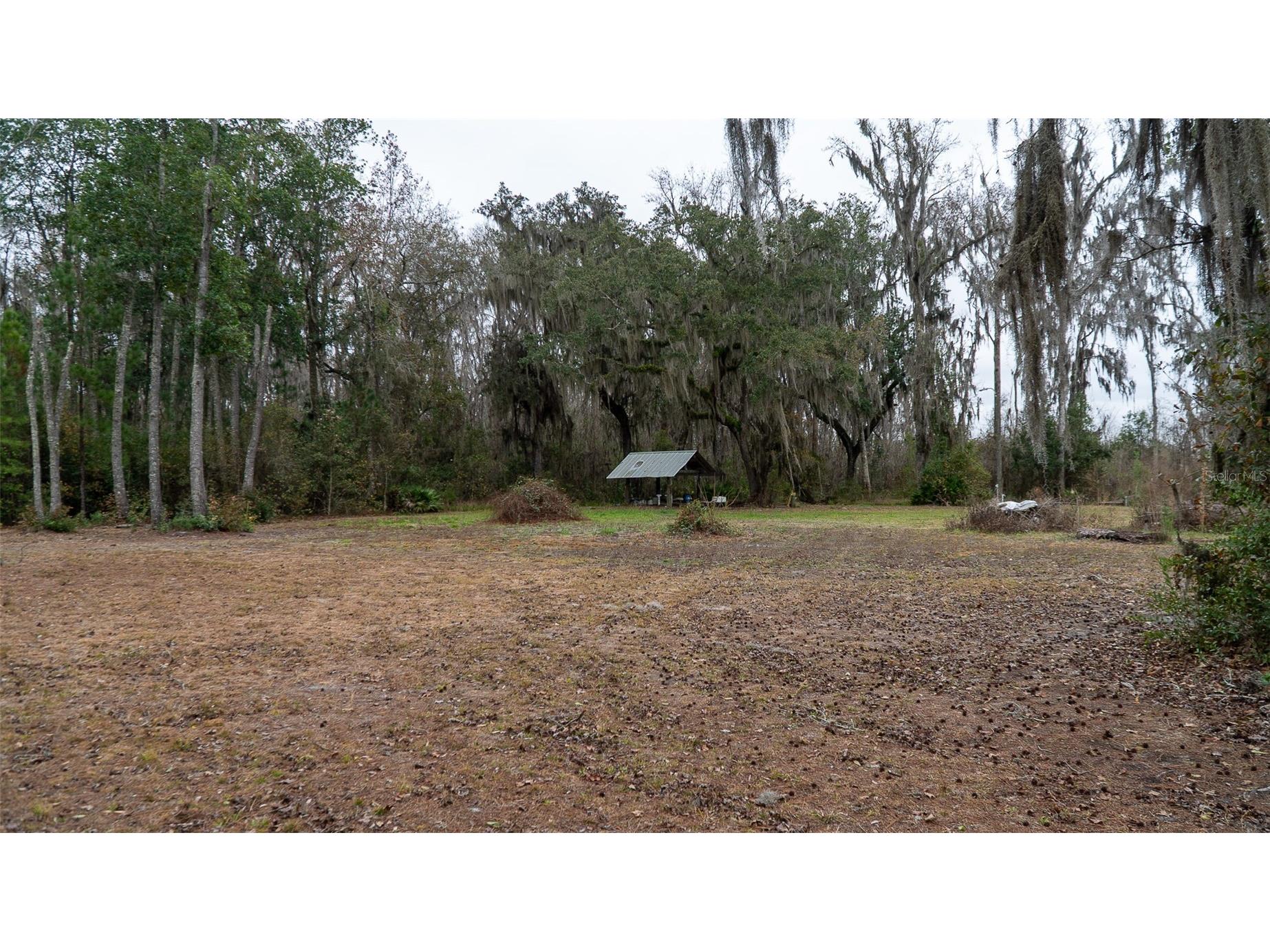 455 W River Road Palatka FL 32177 - ST. JOHNS RIVER FC316373 image4