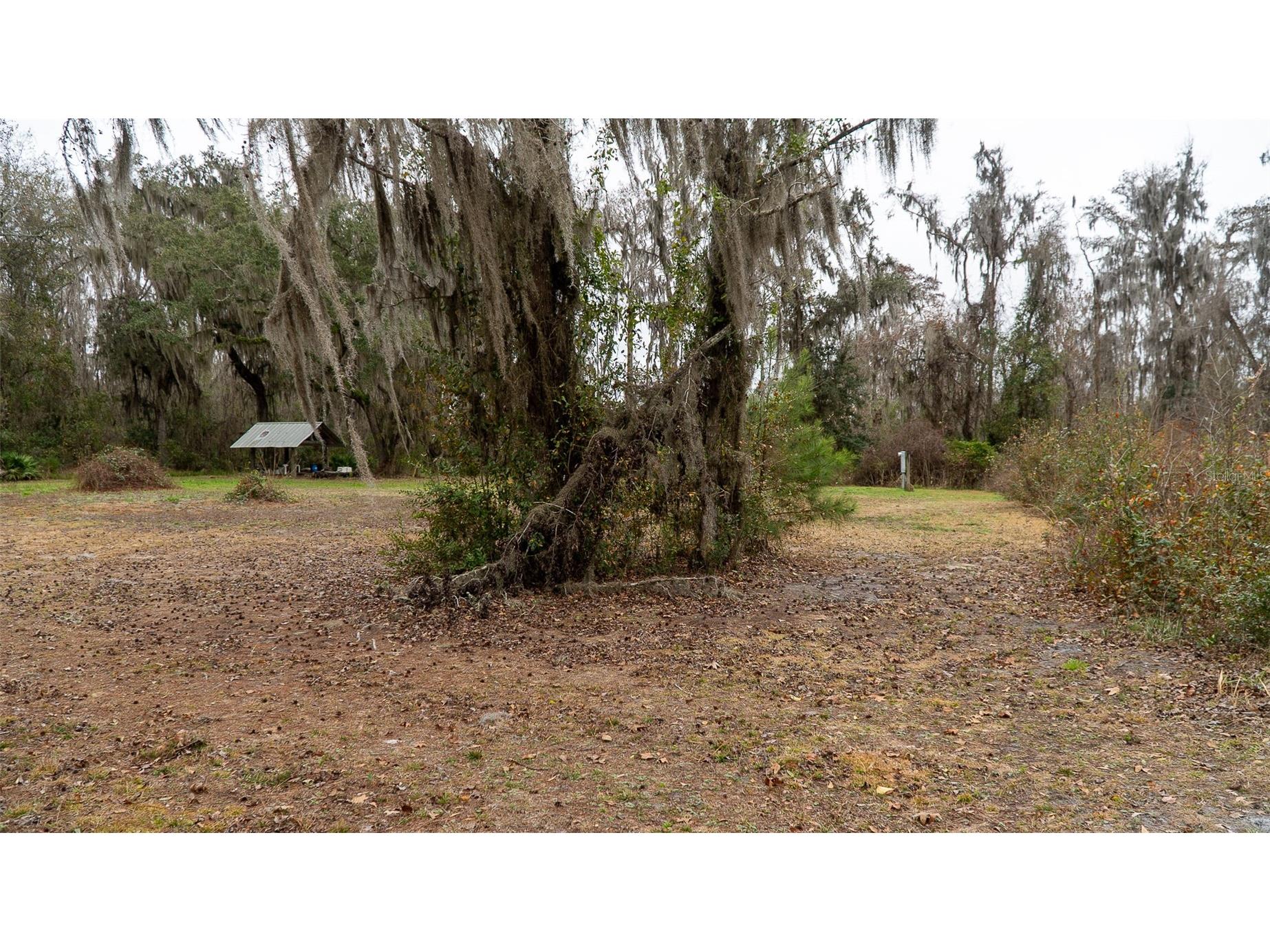 455 W River Road Palatka FL 32177 - ST. JOHNS RIVER FC316373 image5