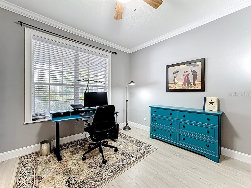 455 Zureiq Point Oviedo FL 32765 O6339419 image12