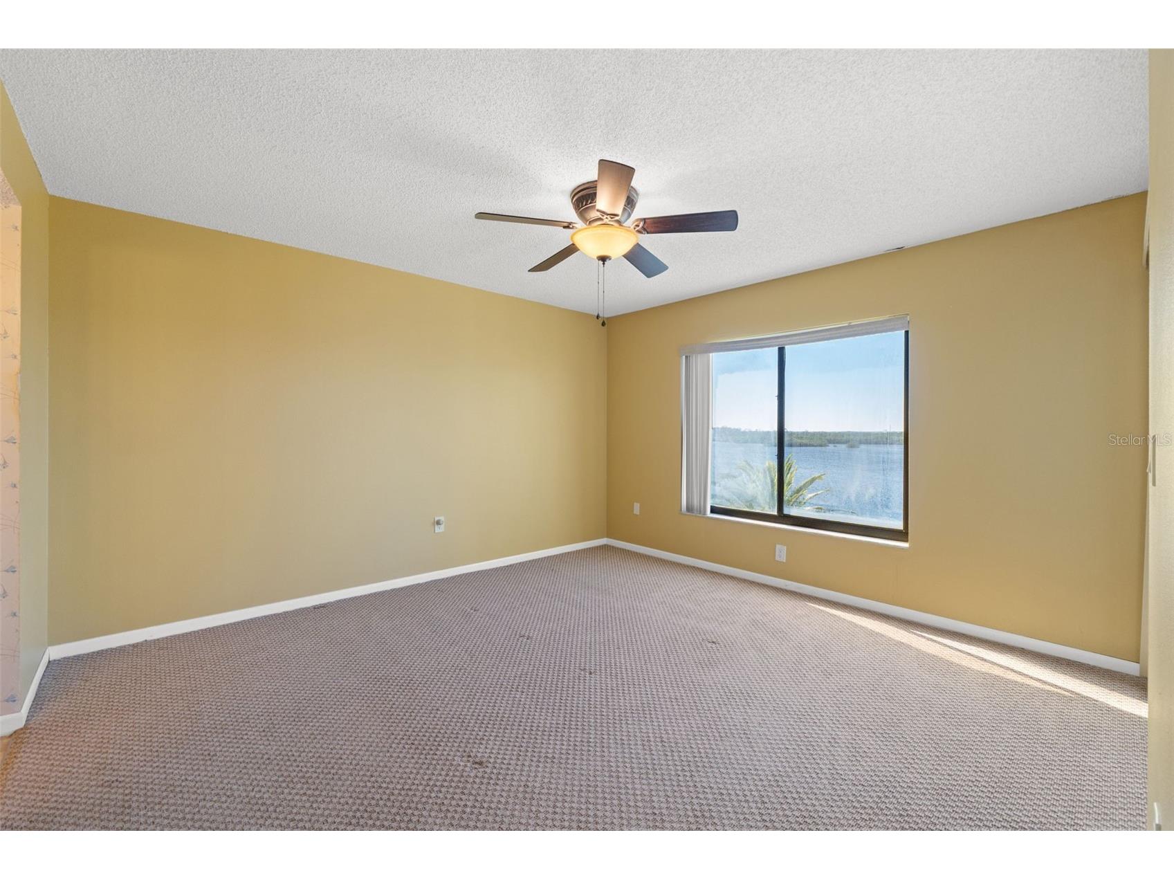 4550 Bay Boulevard #1233 Port Richey FL 34668 W7880534 image15