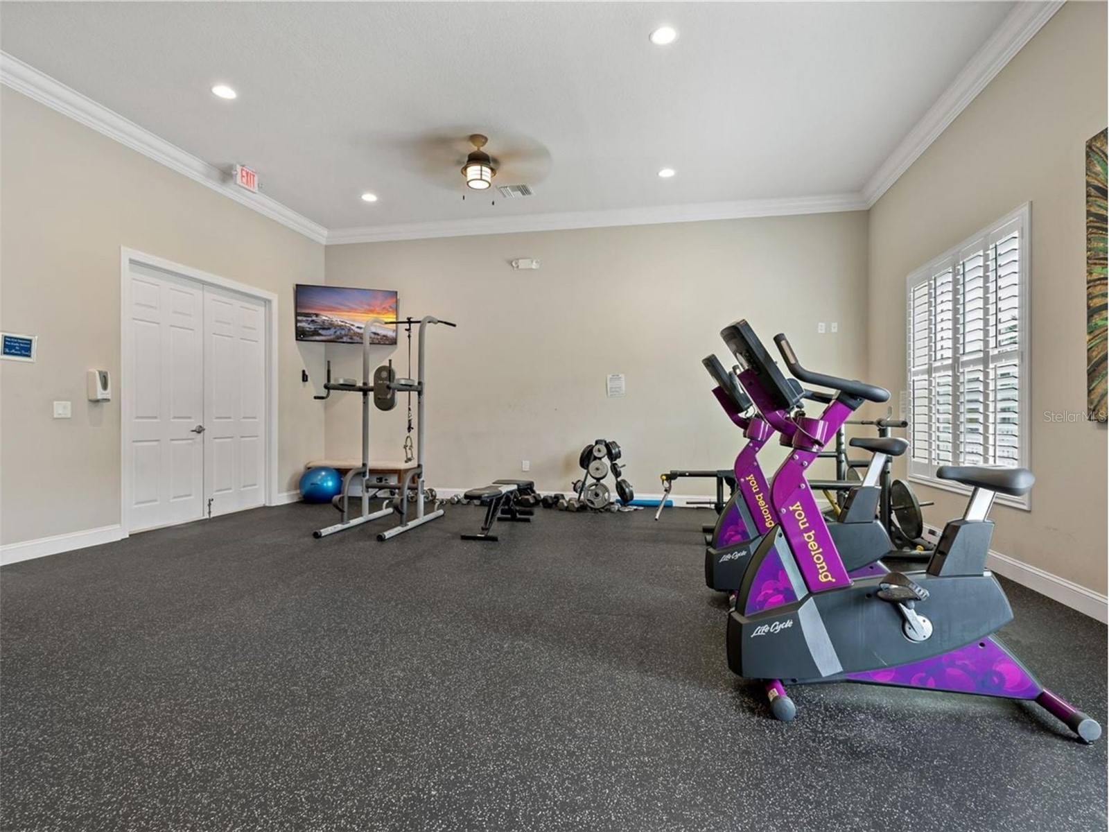 4550 Bay Boulevard #1233 Port Richey FL 34668 W7880534 image45