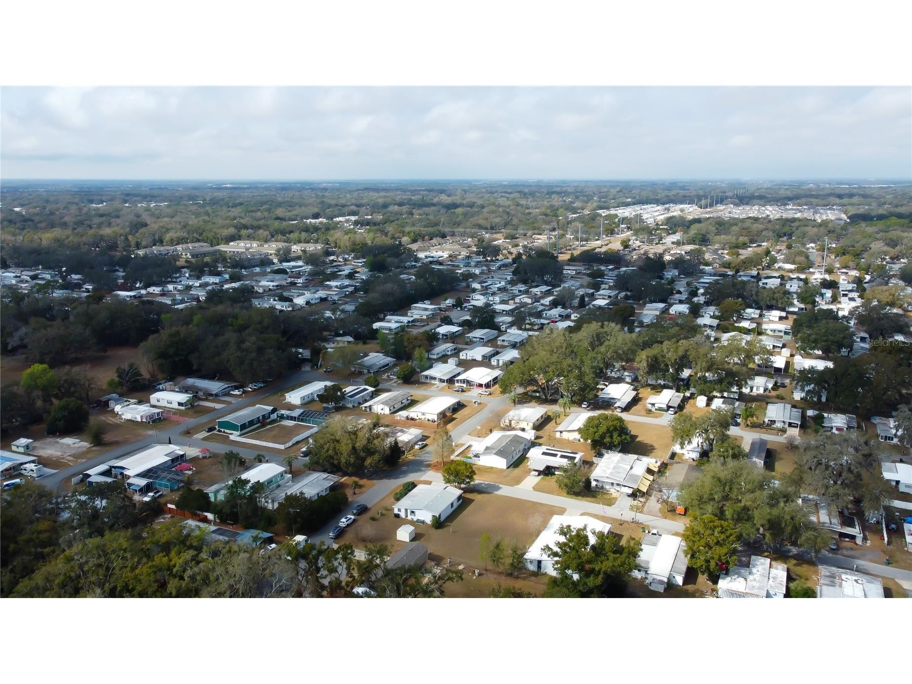 4550 Charter Street Zephyrhills FL 33542 TB8480566 image10