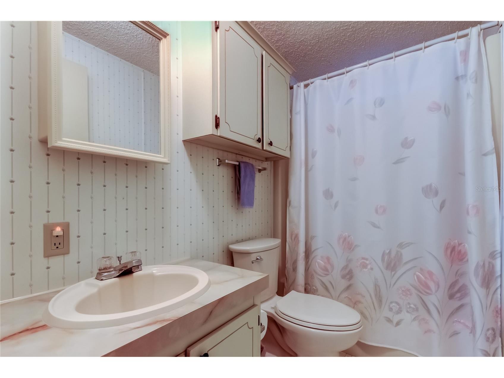 4550 Charter Street Zephyrhills FL 33542 TB8480566 image19