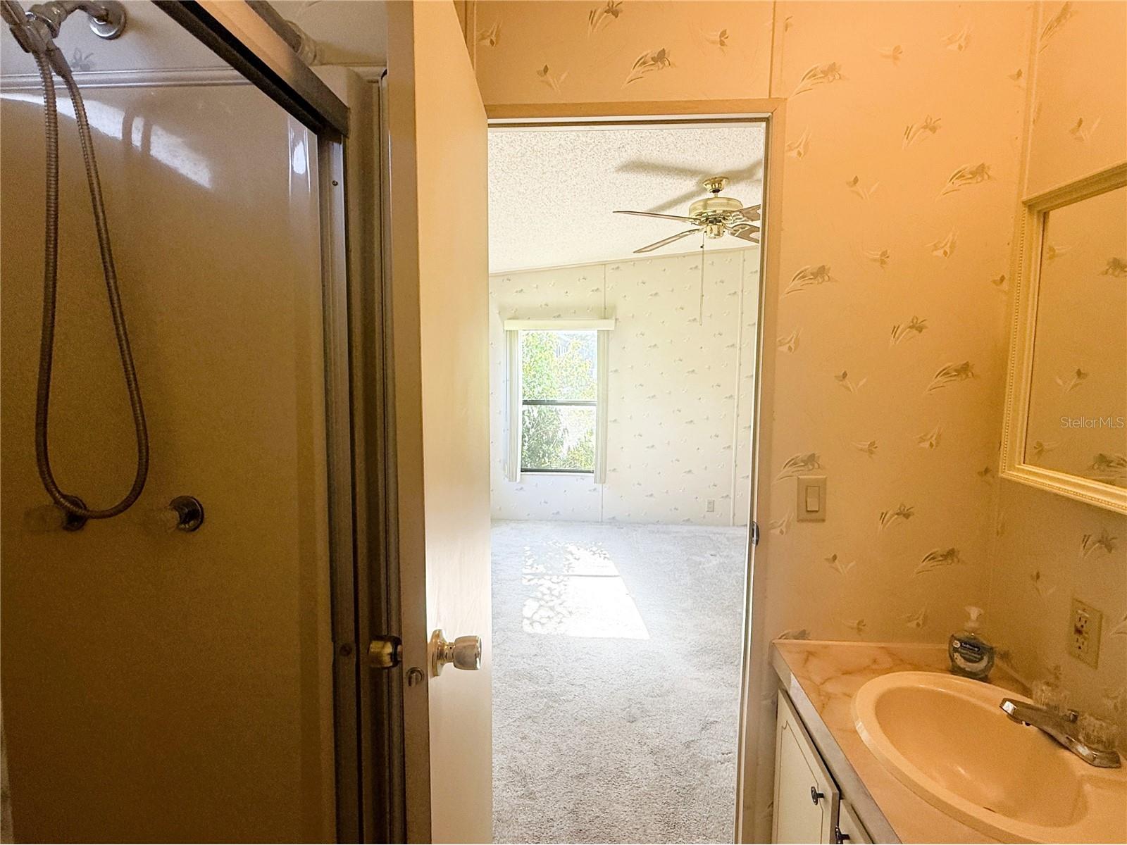 4550 Charter Street Zephyrhills FL 33542 TB8524433 image17