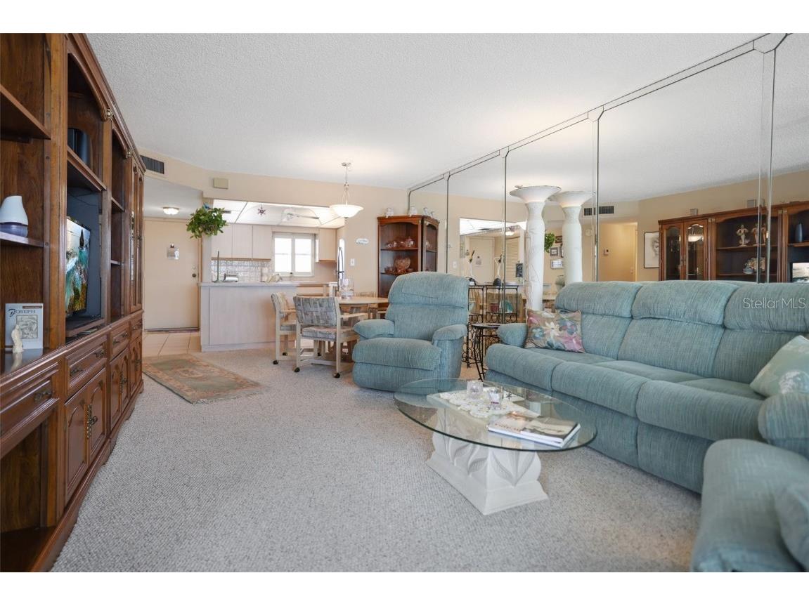 4550 Cove Circle #1003 Saint Petersburg FL 33708 TB8390332 image9