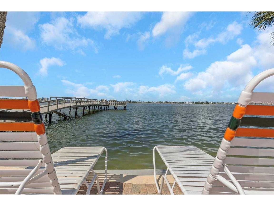 4550 Cove Circle #207 Saint Petersburg FL 33708 TB8420607 image46