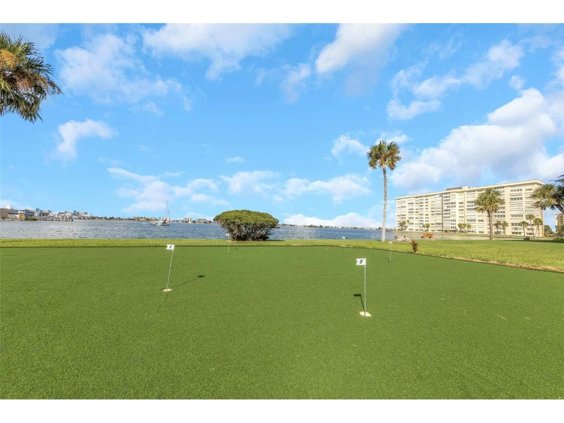 4550 Cove Circle #207 Saint Petersburg FL 33708 TB8420607 image65