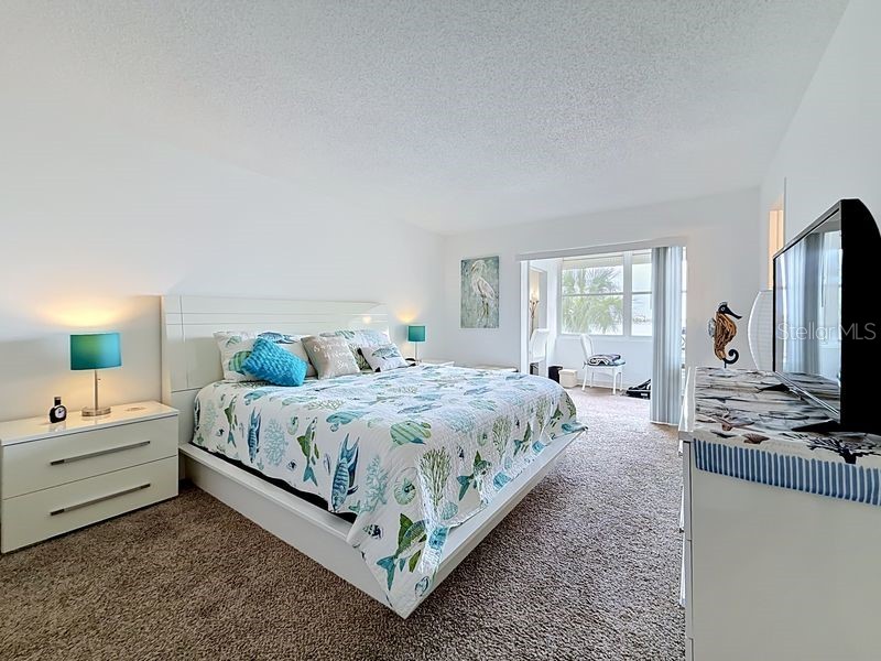 4550 Cove Circle #302 Saint Petersburg FL 33708 - BOCA CIEGA BAY TB8515538 image24
