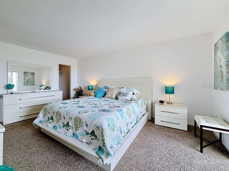 4550 Cove Circle #302 Saint Petersburg FL 33708 - BOCA CIEGA BAY TB8515538 image25